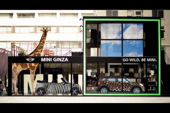 110713_minisafari000