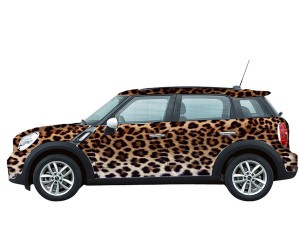 110713_minisafari001