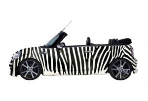 110713_minisafari002