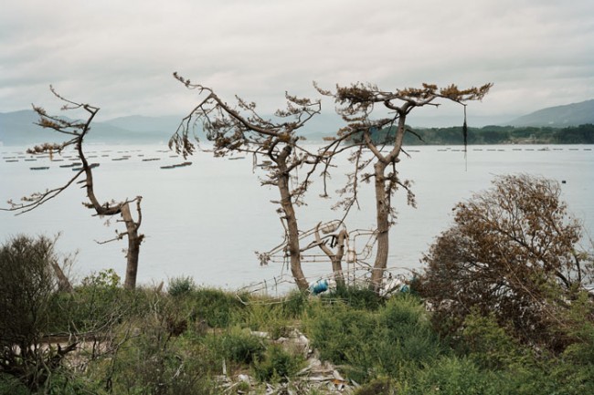 111122_goontoseijaku000