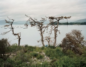 111122_goontoseijaku002