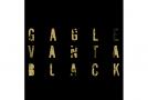 FILE 391 GAGLE 『Vanta Black』